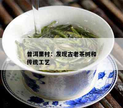 普洱里村：发现古老茶树和传统工艺