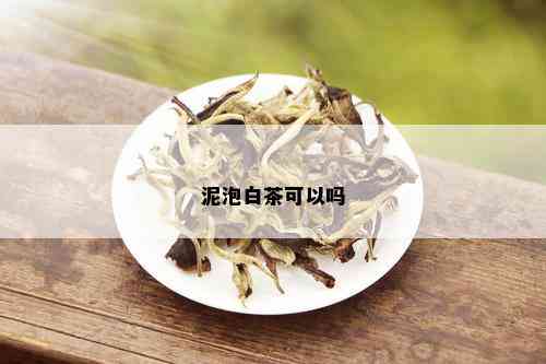 泥泡白茶可以吗