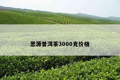 思源普洱茶3000克价格