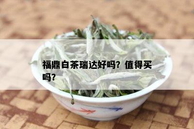 福鼎白茶瑞达好吗？值得买吗？