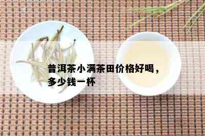 普洱茶小满茶田价格好喝，多少钱一杯