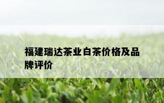 福建瑞达茶业白茶价格及品牌评价