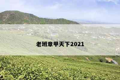 老班章甲天下2021