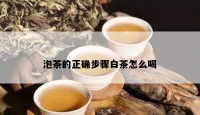 泡茶的正确步骤白茶怎么喝