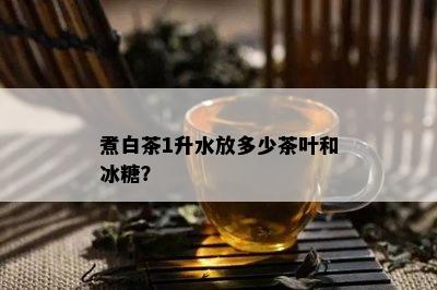 煮白茶1升水放多少茶叶和冰糖？