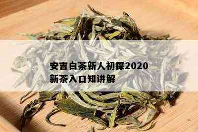 安吉白茶新人初探2020新茶入口知讲解