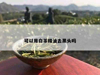 可以用白茶精油去黑头吗