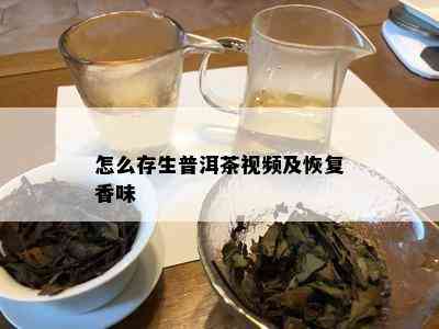 怎么存生普洱茶视频及恢复香味