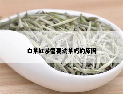 白茶红茶需要洗茶吗的原因