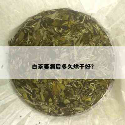 白茶萎凋后多久烘干好？