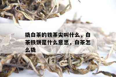 撬白茶的铁茶尖叫什么，白茶铁饼是什么意思，白茶怎么撬