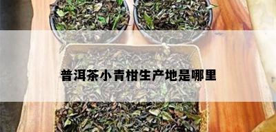 普洱茶小青柑生产地是哪里