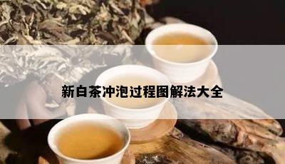 新白茶冲泡过程图解法大全