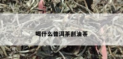 喝什么普洱茶刮油茶