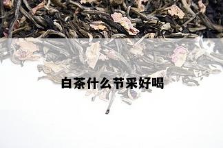 白茶什么节采好喝