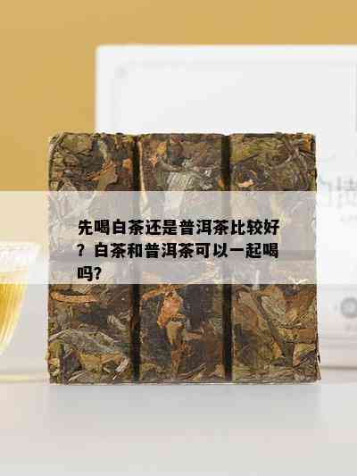 先喝白茶还是普洱茶比较好？白茶和普洱茶可以一起喝吗？