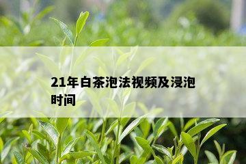 21年白茶泡法视频及浸泡时间