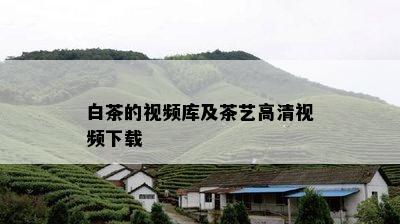 白茶的视频库及茶艺高清视频下载