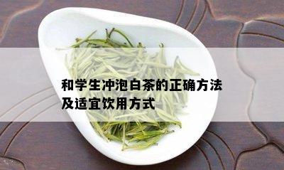 和学生冲泡白茶的正确方法及适宜饮用方式