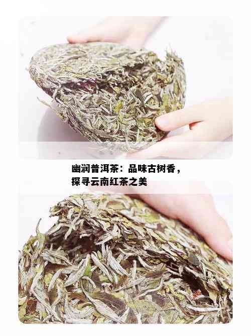 幽润普洱茶：品味古树香，探寻云南红茶之美