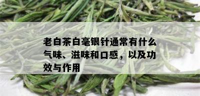 老白茶白毫银针通常有什么气味、滋味和口感，以及功效与作用