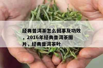 经典普洱茶怎么回事及功效，2016年经典普洱茶图片，经典普洱茶叶