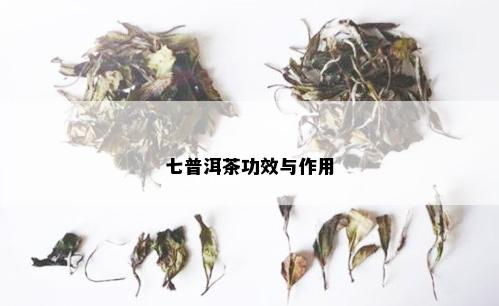 七普洱茶功效与作用