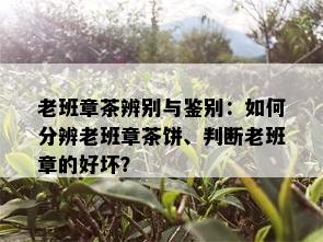 老班章茶辨别与鉴别：如何分辨老班章茶饼、判断老班章的好坏？