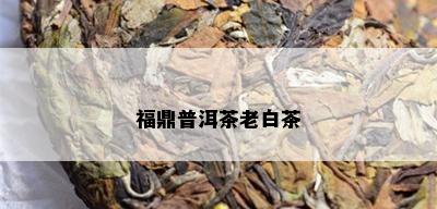 福鼎普洱茶老白茶