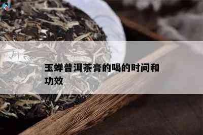 玉蝉普洱茶膏的喝的时间和功效