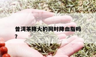 普洱茶降火的同时降血脂吗？