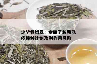 少华老班章：全面了解新冠疫接种计划及副作用风险