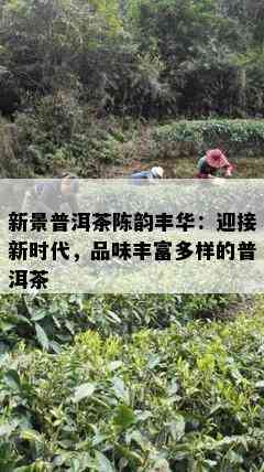 新景普洱茶陈韵丰华：迎接新时代，品味丰富多样的普洱茶