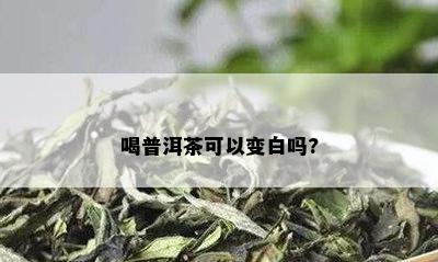 喝普洱茶可以变白吗?