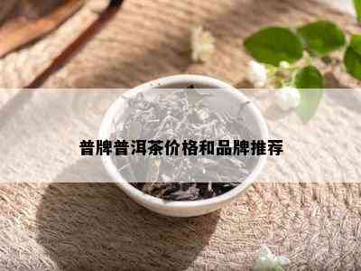 普牌普洱茶价格和品牌推荐