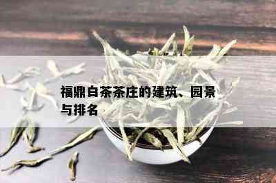 福鼎白茶茶庄的建筑、园景与排名