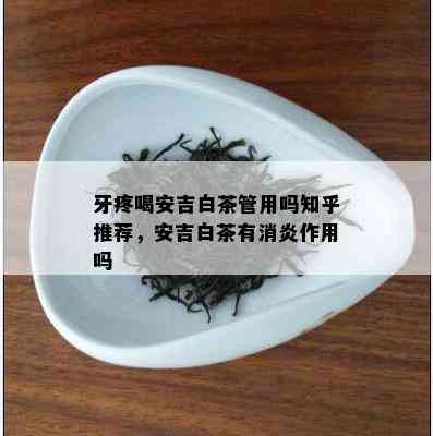 牙疼喝安吉白茶管用吗知乎推荐，安吉白茶有消炎作用吗