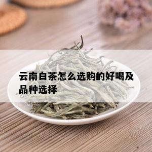 云南白茶怎么选购的好喝及品种选择