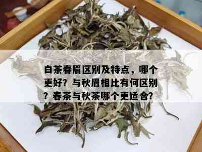 白茶春眉区别及特点，哪个更好？与秋眉相比有何区别？春茶与秋茶哪个更适合？