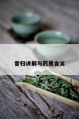 昔归讲解与用含义