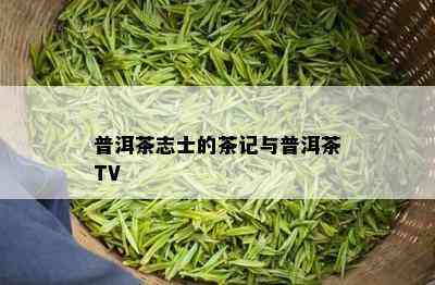 普洱茶志士的茶记与普洱茶TV