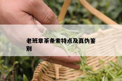 老班章茶条索特点及真伪鉴别