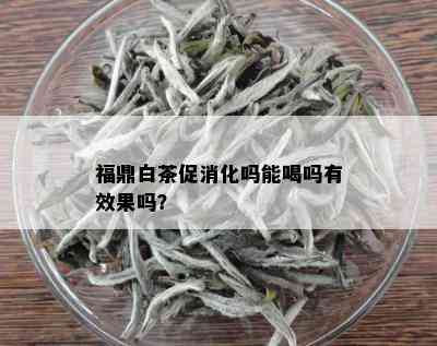 福鼎白茶促消化吗能喝吗有效果吗？