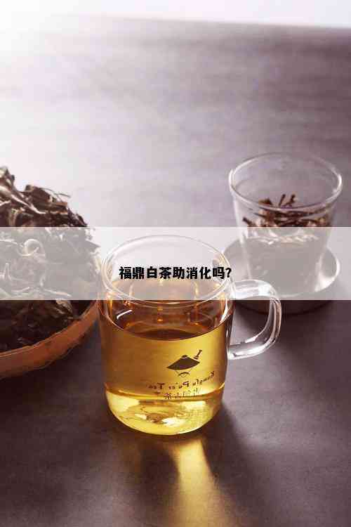 福鼎白茶助消化吗？