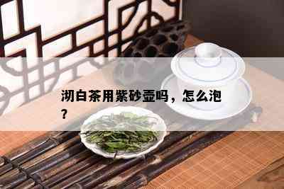 沏白茶用紫砂壶吗，怎么泡？