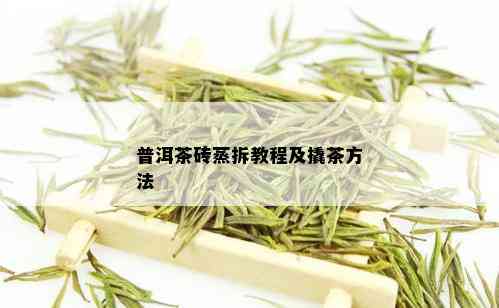 普洱茶砖蒸拆教程及撬茶方法