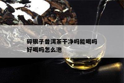 碎银子普洱茶干净吗能喝吗好喝吗怎么泡