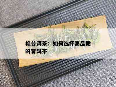 艳普洱茶：如何选择高品质的普洱茶