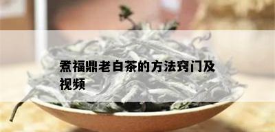 煮福鼎老白茶的方法窍门及视频