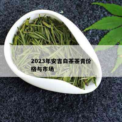 2023年安吉白茶茶青价格与市场